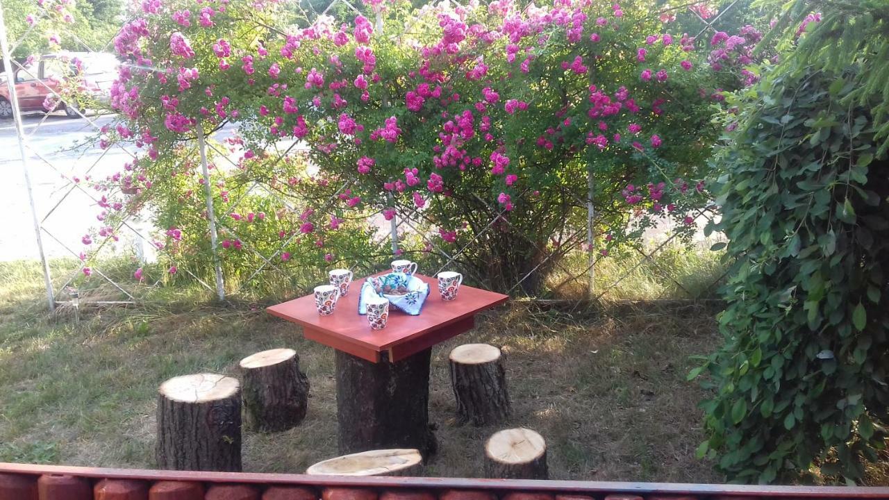 Dom Na Ludowo W Brzeznicy Apartment Brzeznica  Ngoại thất bức ảnh